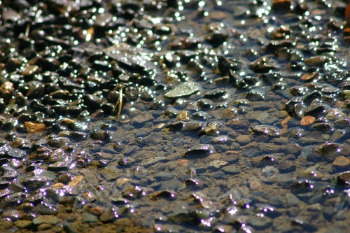 Preview: Rocks In Water