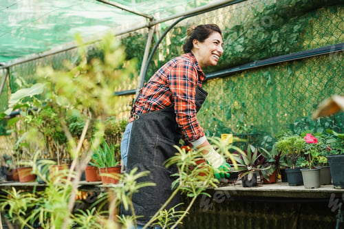 Preview: Latin Woman Working Inside Greenhouse Garden - Nursery And Spring Concept - Focus On Face