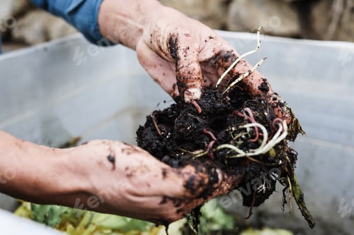 Preview: Farmer Man Holding Compost With Worms - Main Focus Top Hand Finger