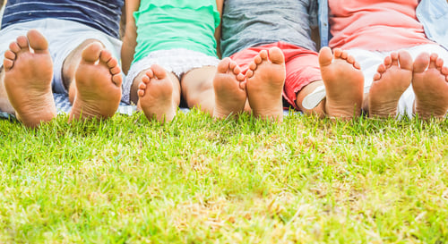 Preview: Happy Family Sitting On Grass Doing Picnic In Nature Park Outdoor - Father, Mother, Son And