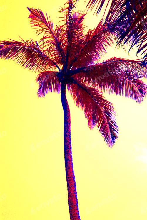 Preview: Abstraction "Palm Tree " To See My Abstraction Collection Use Keyword Search: "Gamusa"