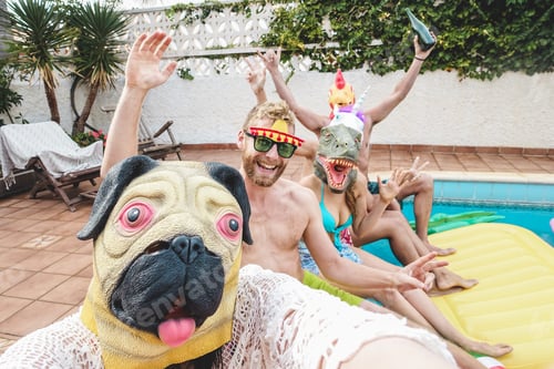 Preview: Happy People Having Fun At Pool Party While Wearing Funny Animals Masks - Main Focus On Dog Mask