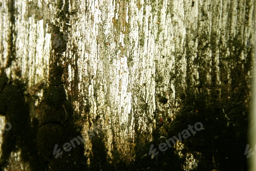 Preview: Abstraction "Old Wood" To See My Abstraction Collection Use Keyword Search: "Gamusa"