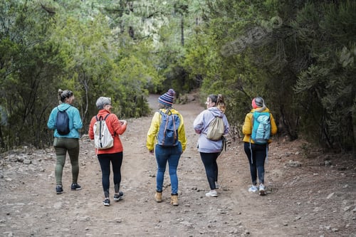 Preview: Multiracial Women Having Fun During Trekking Day In Mountain Forest