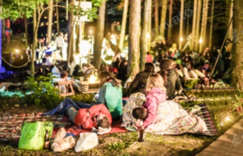 Preview: Blurred People Watching Concert Live Into The Wood At Night Outdoor - Defocused Image - Music