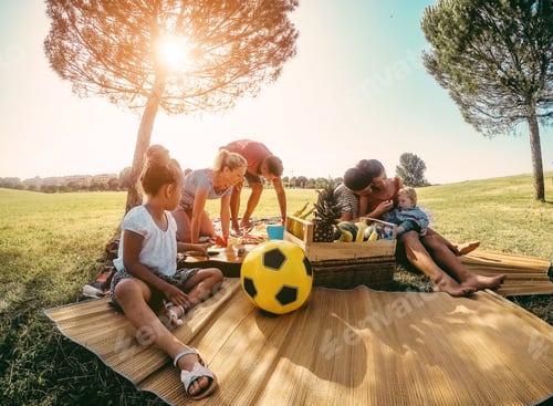Preview: Happy Families Preparing Picnic In Nature Park Outdoor - Young Parents Having Fun With Children In
