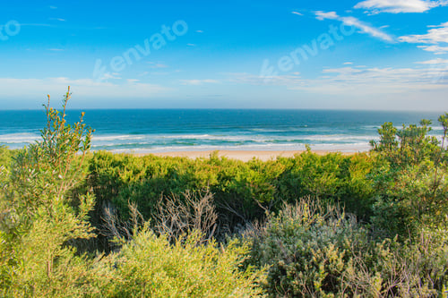 Preview: A Green Beach Under Blue Sky