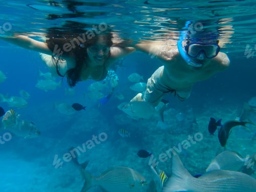 Preview: Couple Snorkeling On The Island Of San Andres In The Caribbean Sea . They Feed The Fish Under Water