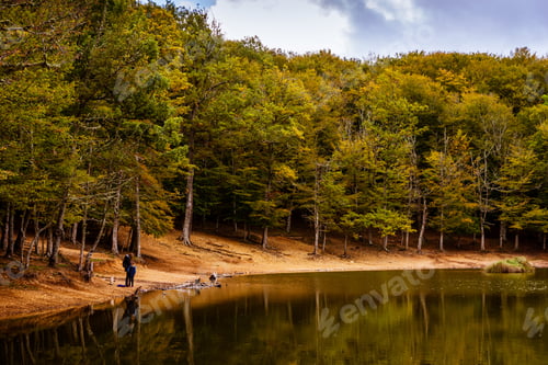 Preview: A Scenic View Of Colorful Autumn Trees Along A Lakeside