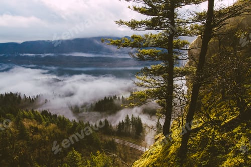 Preview: A Landscape Of Hills Covered In Forests And Fog Under The Sunlight - Perfect For Wallpapers