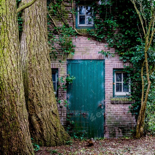 Preview: A Closeup Shot Of A Turquoise Door Of A House Made Of Bricks With A Tree Growing Next To It