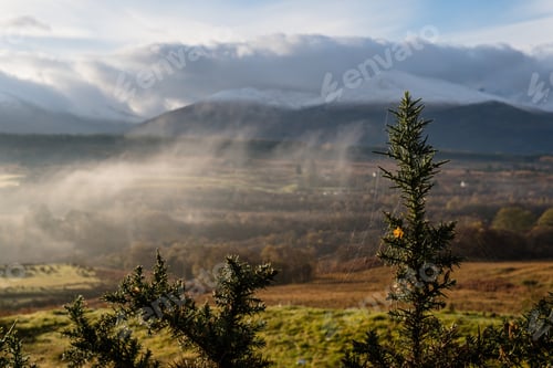 Preview: A Shallow Focus Shot Of Tree Branches With A Spider Web And Beautiful Foggy Landscape View Behind