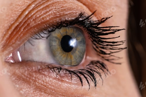 Preview: Human Eye In Close Up Shoot. Macro Shoot On Womans Eye Iris.