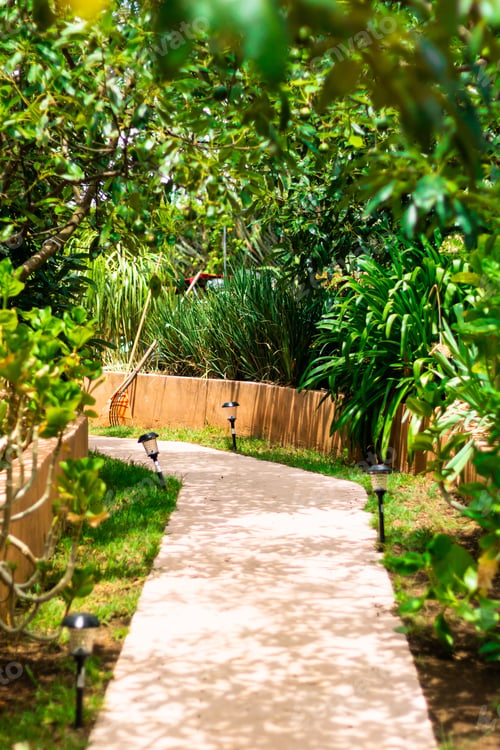 Preview: A Vertical Shot Of A Small Path Passing Through The Garden