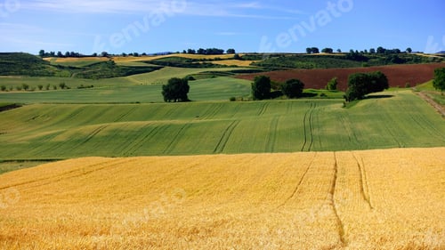 Preview: The Different Colors Of The Crops Planted At Different Times Provide Beautiful Images In The