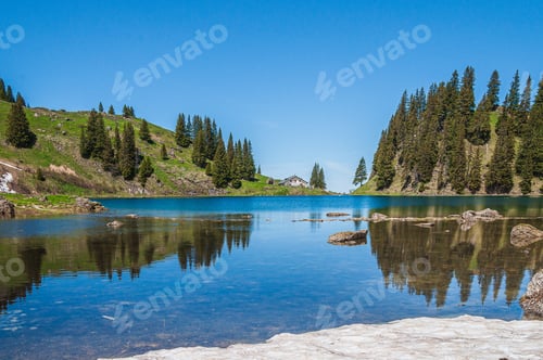 Preview: The Trees On The Mountains Surrounded By Lake Lac Lioson In Switzerland