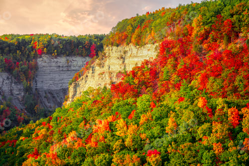 Preview: A Beatuiful Shot Of Colorful Autumn Tres On A Cliffside In Letchworth Park, New York