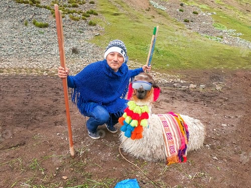 Preview: View Of A Funny Alpaca With Sunglasses And A Tourist Around Rainbow Mountain, Vinicunca, Cusco