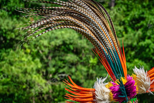 Preview: A Closeup Shot Of The Colorful Feathers Of A Traditional Native Indian-American Festive Regalia