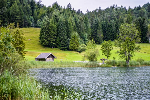 Preview: A Beautiful Shot Of The Small Wooden House Among Green Trees And Along The River