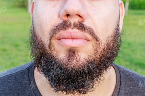 Preview: Long Beard Of White Middle-Aged Man