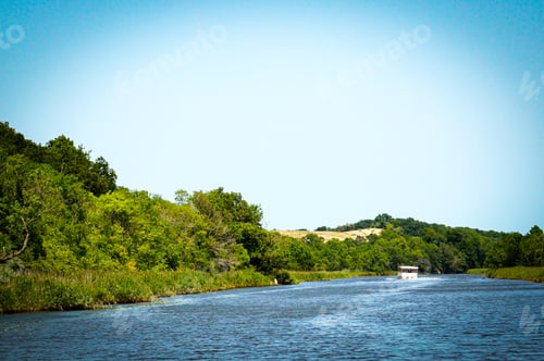 Preview: The Beautiful River Surrounded By The Forest