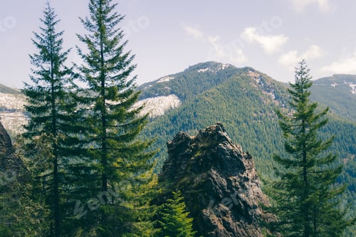 Preview: A Beautiful Landscape Shot Of Trees Growing With Large Mountains In The Background