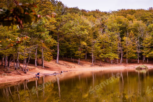 Preview: A Scenic View Of Colorful Autumn Trees Along A Lakeside