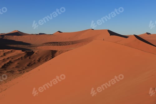 Preview: Man On Sand Dune In Desert During Sunrise. Sossusvlei, Namib Naukluft National Park, Namibia