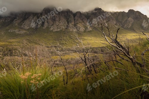 Preview: The Cloudy Sentinels, Gordon River Road, Tasmania