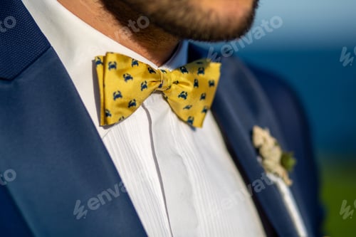 Preview: Man in Suit Wearing Patterned Bow Tie