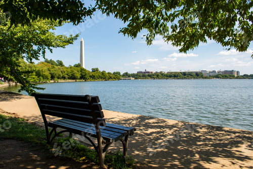 Preview: A Bench Surrounded By Greenery And Water With The National Mall In Washington Dc On The Background