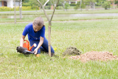 Preview: Portrait Of Happy Girl Planting Outdoors