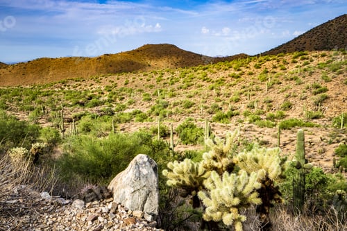 Preview: A Beautiful Shot Of Sonoran Desert In Scottsdale Arizona - Perfect For Background