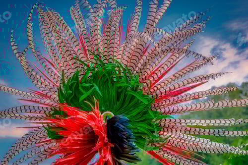 Preview: A Closeup Shot Of The Colorful Feathers Of A Traditional Native Indian-American Festive Regalia