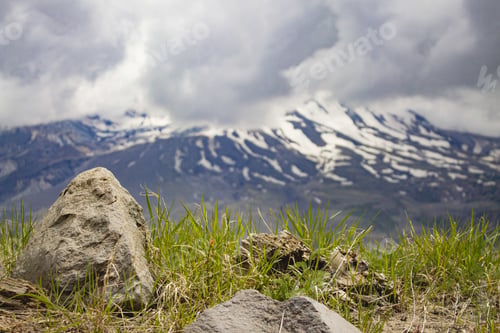 Preview: A Closeup Of Rocks And Grass With The Mount Saint Helens On The Blurry Background