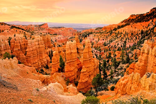 Preview: Morning Sun On The Orange Hoodoos Of Bryce Canyon National Park Utah, Usa