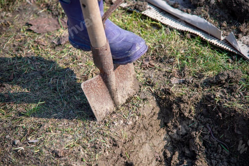 Preview: A High Angle Shot Of A Person Digging A Soil Using A Shovel During Daytime