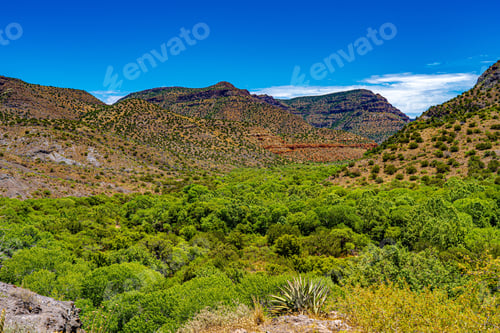Preview: The Image Shows The Wilderness, Off The Beaten Path In Arizona