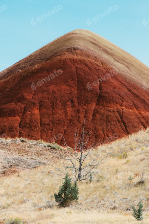 Preview: A Vertical Shot Of A Mesmerizing Landscape Of An Arid Environment