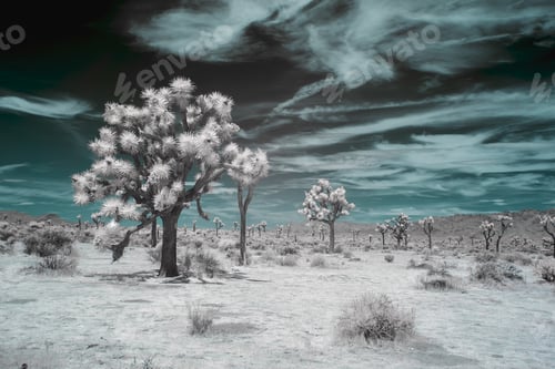 Preview: A Breathtaking Wondrous View Of An Unreally Beautiful Scenery