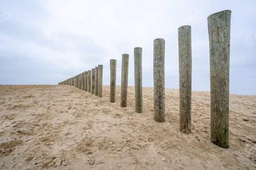 Preview: A Low Angle Shot Of Wooden Breakwater Poles On A Beach Sand