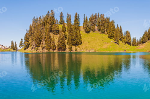 Preview: The Trees On The Mountains In Switzerland Surrounded By The Lake Lac Lioson