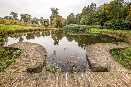 Preview: A Wide Shot Of A Fish Pond Surrounded By Plants On A Cool Day