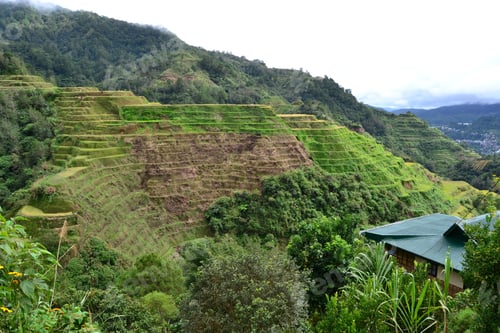 Preview: A Beautiful View Of Banaue Rice Terraces In Luzon, Philippines