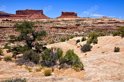 Preview: Desert Landscape With Red Mesa Formations Near Canyonlands National Park, Utah, Usa