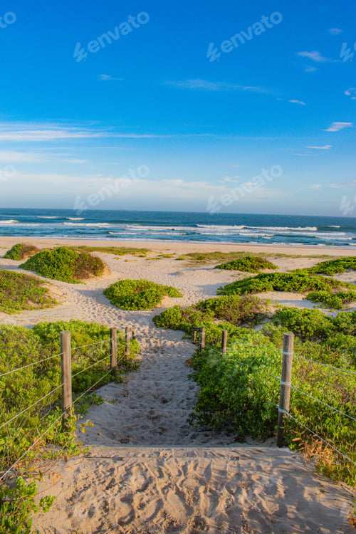 Preview: A Vertical Shot Of Green Beach Under Blue Sky