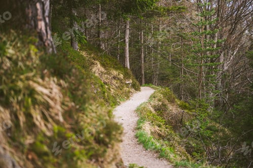 Preview: A Hiking Trail In The Bavarian Alps During Spring. Many Beautiful Paths Lead To The Mountain Tops
