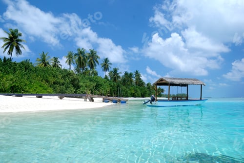 Preview: A Boat Resting On Water Near The Shore Whit Wooden Pathway And A Forest With Palm Trees