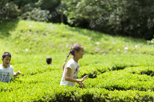 Preview: Happy Children Playing At Garden Labyrinth